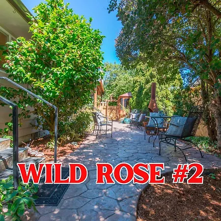 Sq Wild Rose 2 Apartment